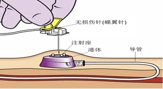 67b591a32fcd9.jpg