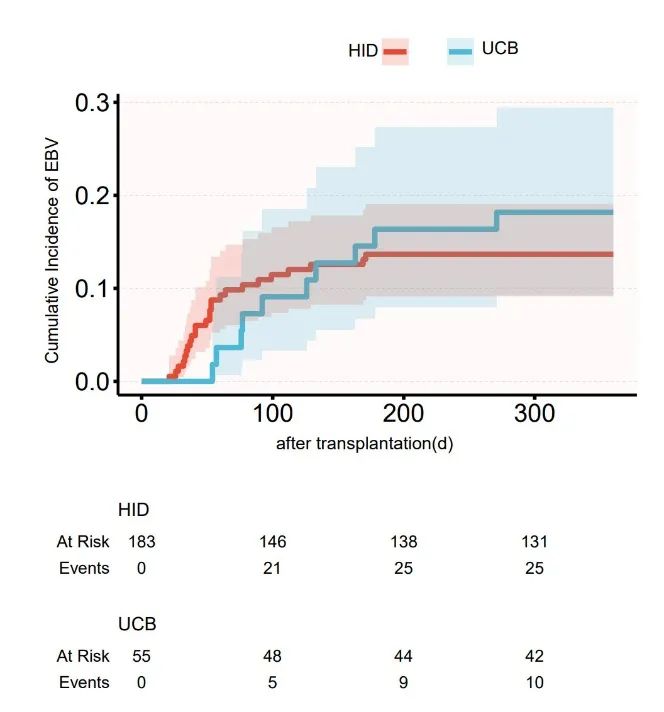 67ece7ecb0924.jpg